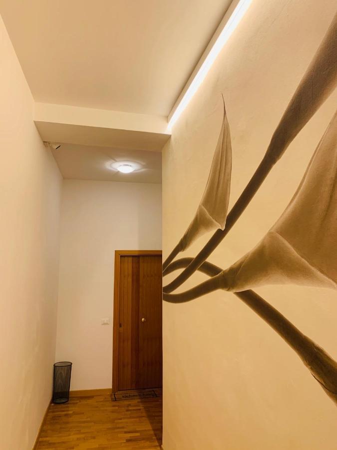 Nima Oberdan House